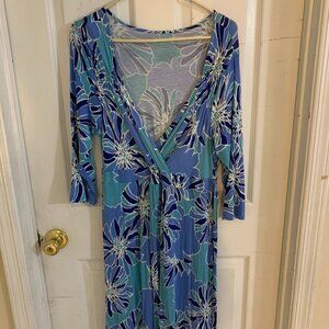 Liz Lange Maternity Dress
